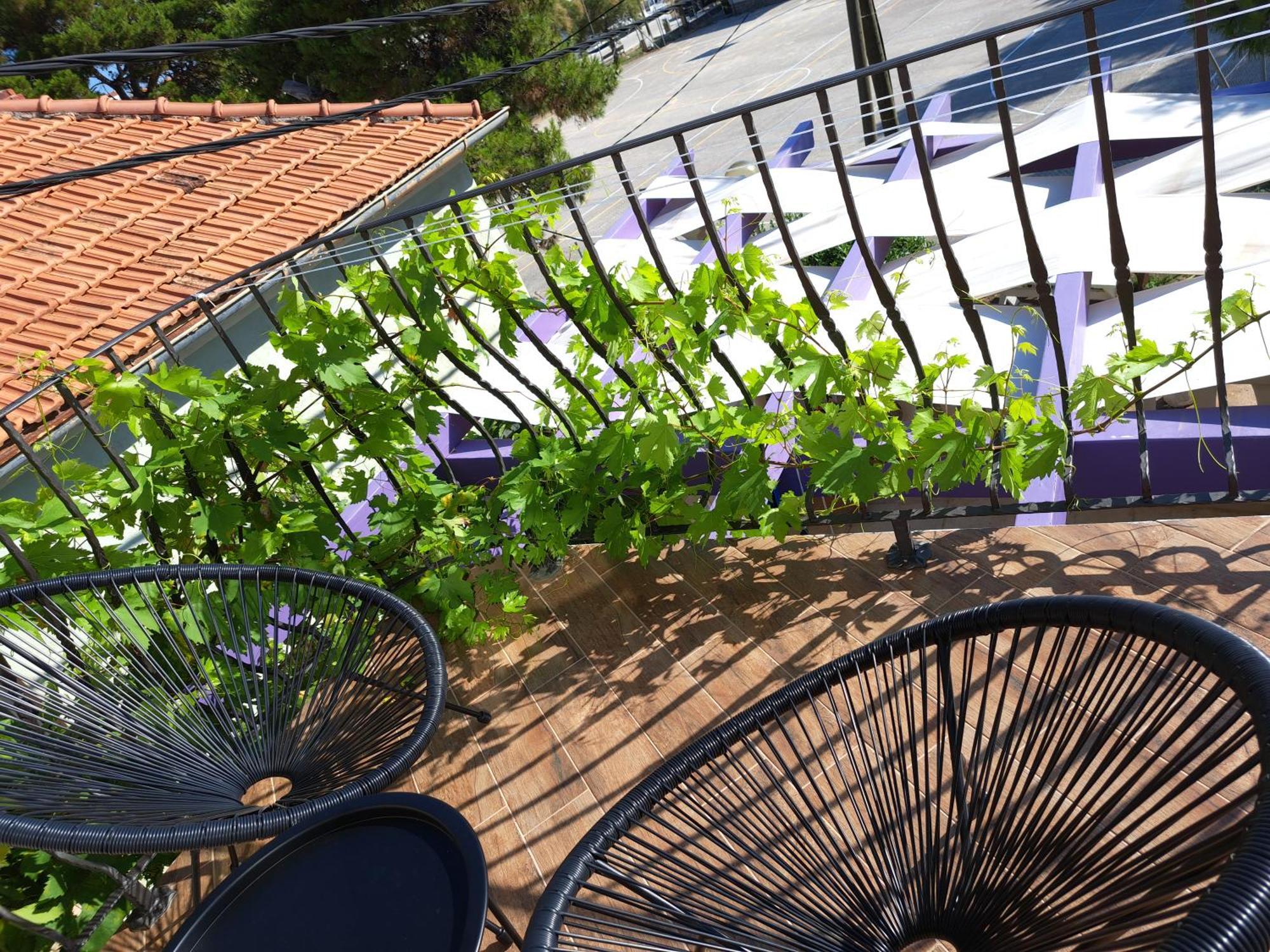 Jardin Kapetanova Kuca Apartment Veli Iz Ngoại thất bức ảnh